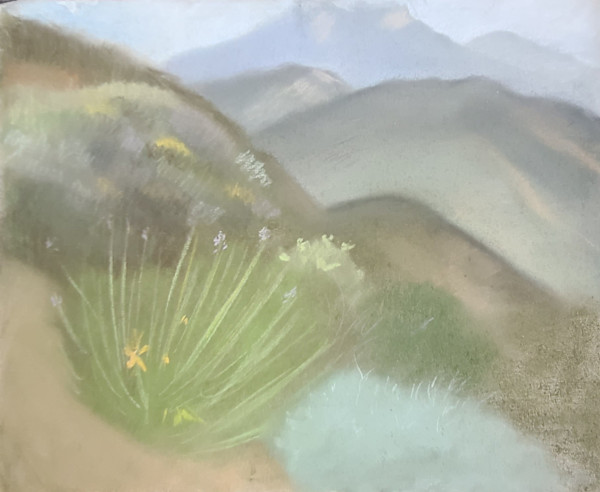 Malibu Landscape, Image 1.