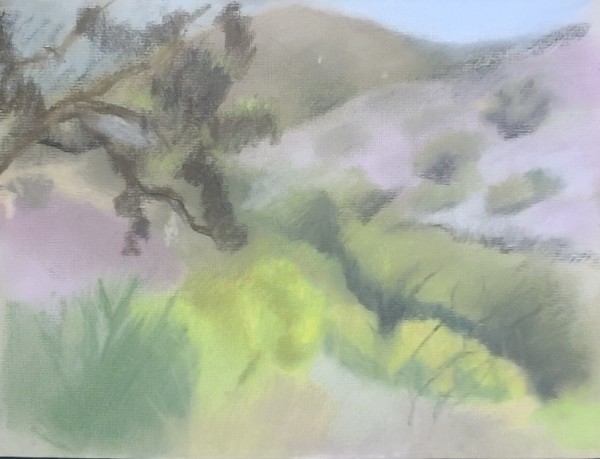 La Jolla Valley Loop Trail by Ellen Hamilton O'Donnell