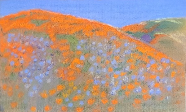 Poppies at Gorman by Ellen Hamilton O'Donnell
