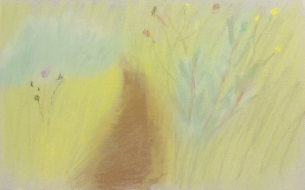 Above Serrano Canyon, Grassland by Ellen Hamilton O'Donnell