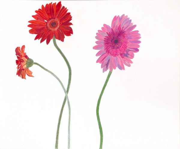Flower Fiction 6 by Ellen Hamilton O'Donnell
