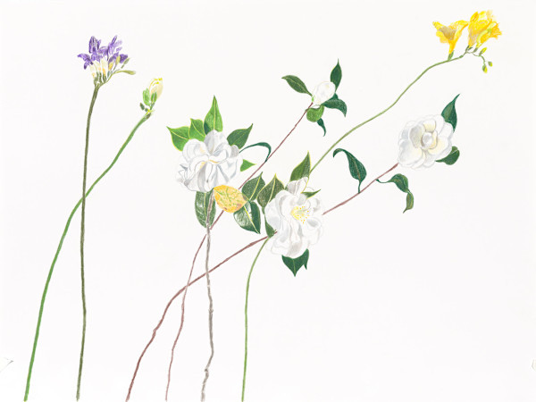 Flower Family 2 by Ellen Hamilton O'Donnell