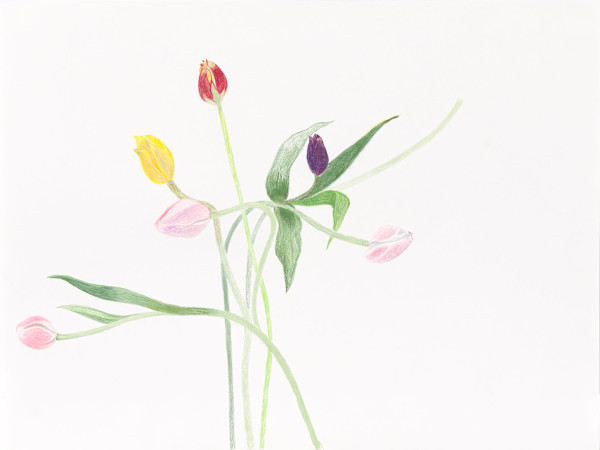 Flower Family 5 by Ellen Hamilton O'Donnell