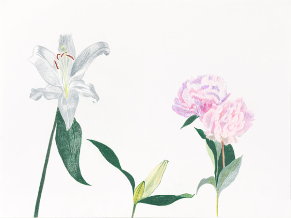 Flower Family 3 by Ellen Hamilton O'Donnell