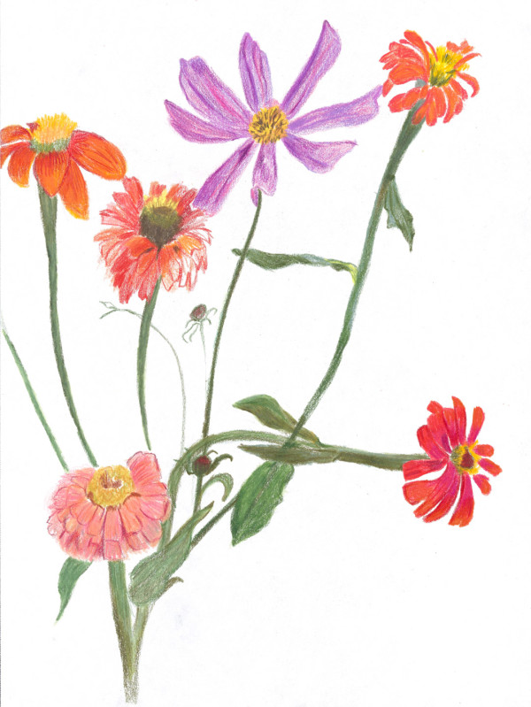 Cutting Garden 2 by Ellen Hamilton O'Donnell