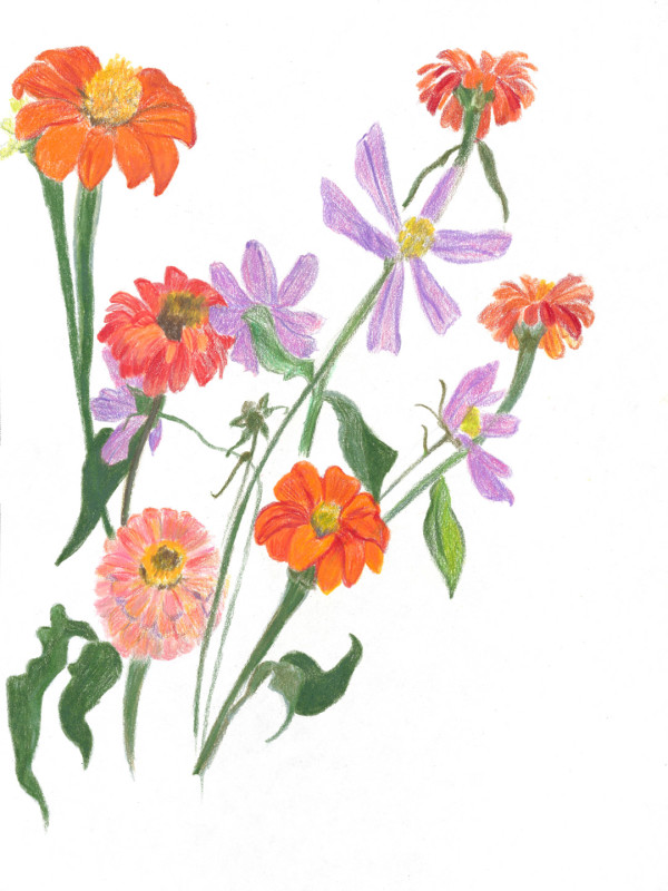 Cutting Garden 3 by Ellen Hamilton O'Donnell
