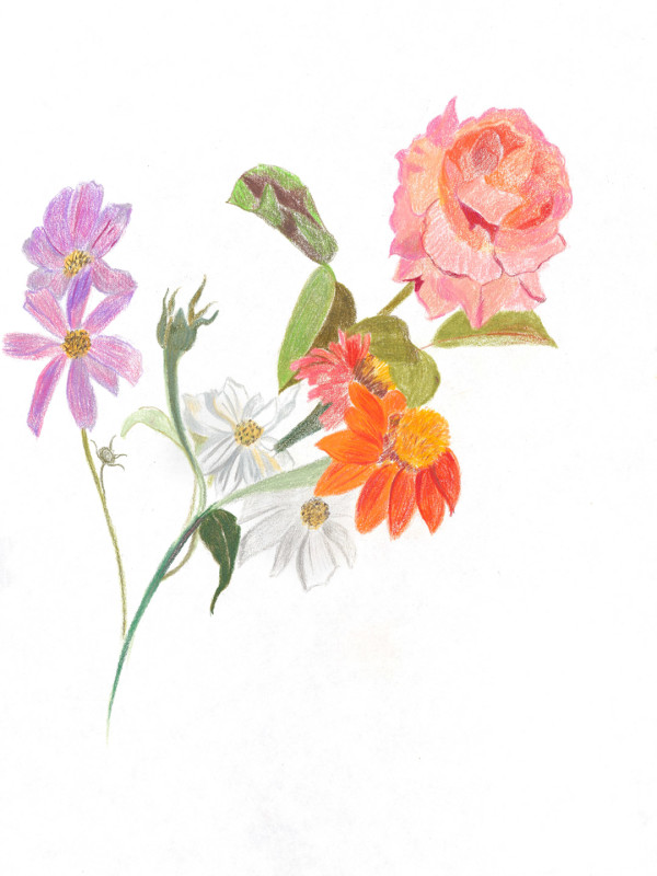 Cutting Garden 4 by Ellen Hamilton O'Donnell