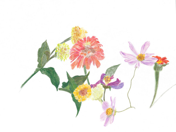 Cutting Garden 5 by Ellen Hamilton O'Donnell