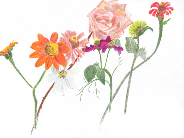 Cutting Garden 6 by Ellen Hamilton O'Donnell