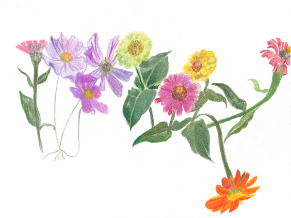Cutting Garden 7 by Ellen Hamilton O'Donnell