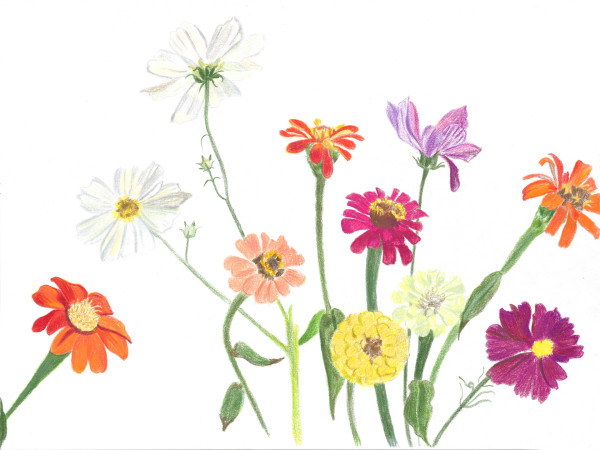 Cutting Garden 11 by Ellen Hamilton O'Donnell
