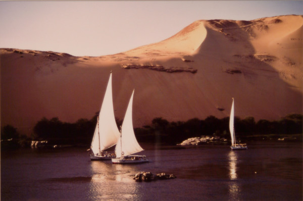 Felucca on Nile by Frances Waltz