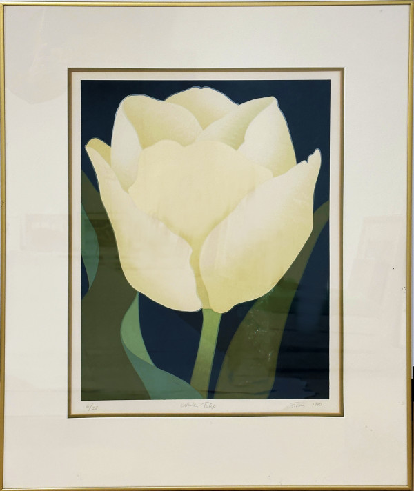 White Tulip, 1980 by Susan Fiori