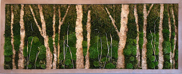 Silence in Birch Forest by Ellie Januasukaite
