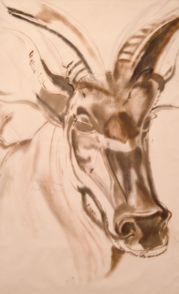 Study of African Kudu by Paul Travis
