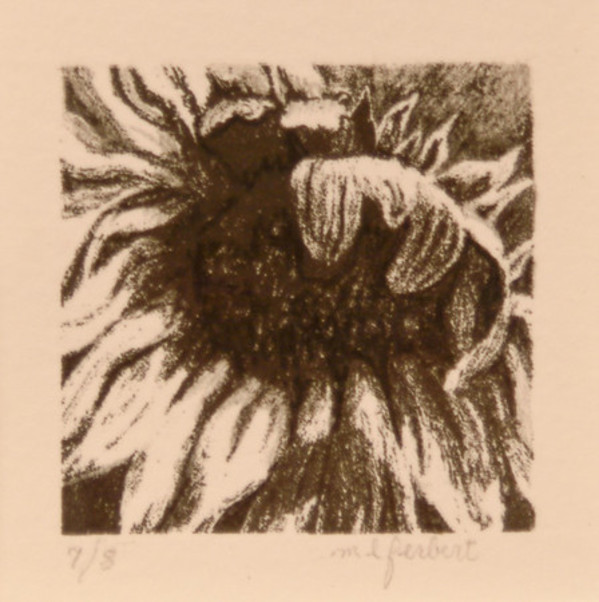 Sunflower by Mary Lou Ferbert