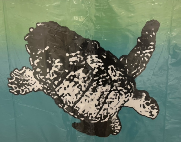 Sea Turtle by John Saile