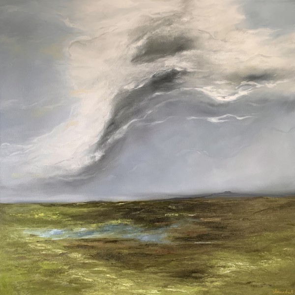 Solstice Storm by Shawn Marshall, Image 7.