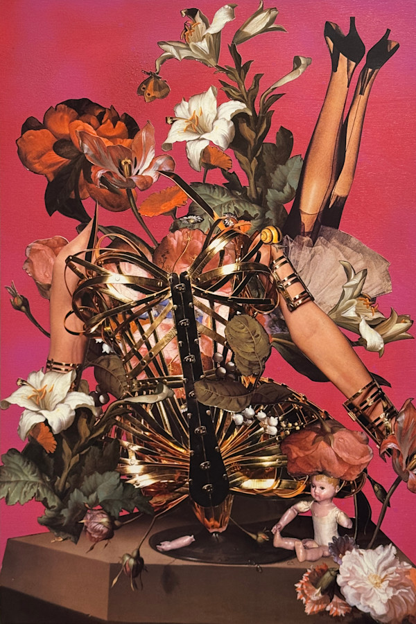 Deconstructing Venus by Shawn Marshall