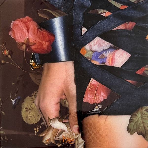 Hold Still by Shawn Marshall