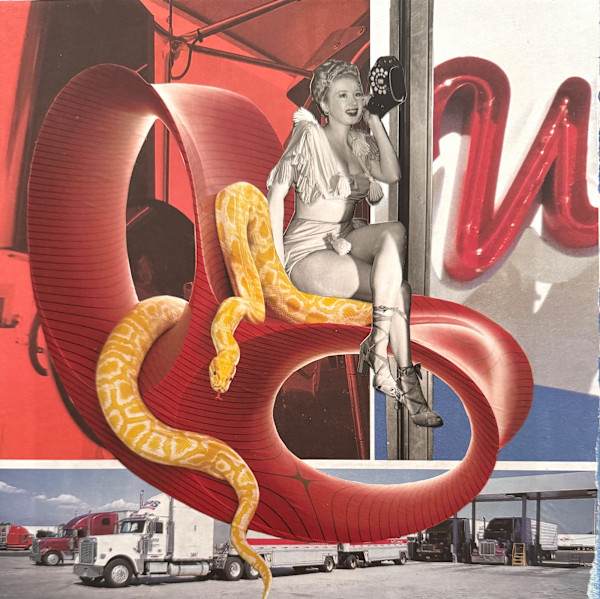 Truck Stop Snake Charmer by Shawn Marshall