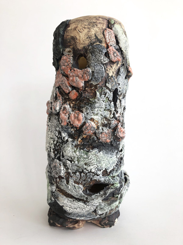 Lichen Stump by Lynn Basa
