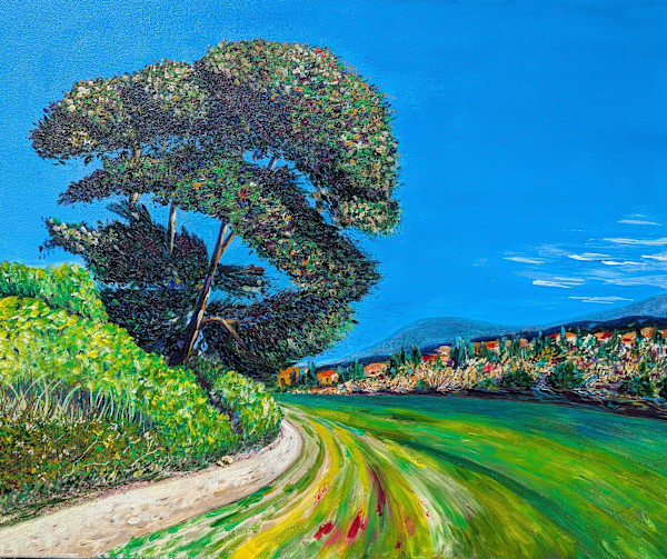 The pines of La Conte (Carcassonne) / Les pins de la Conte (Carcassonne) by Olena Kvit