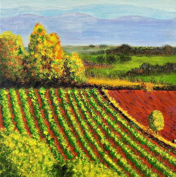 Minervois by Olena Kvit