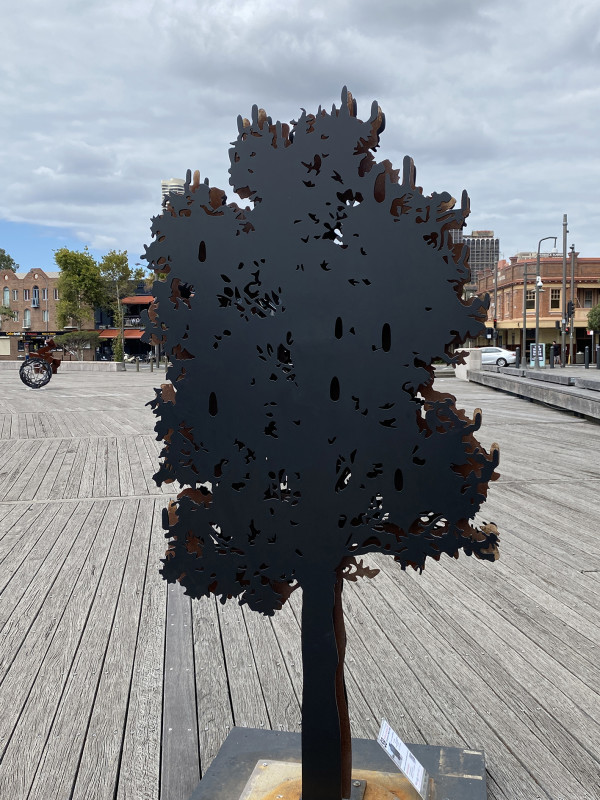 Banksia by Helena