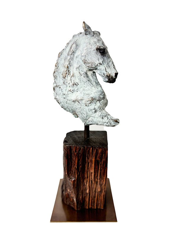 Equus by Helena