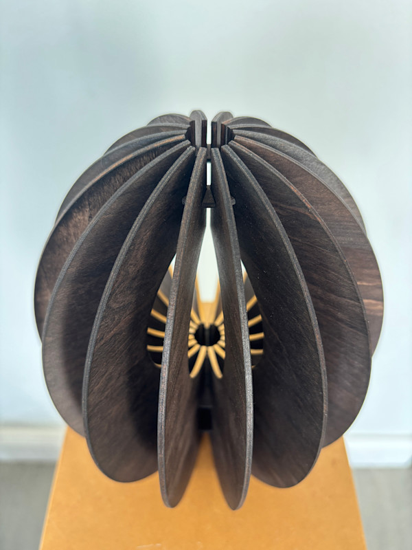 Torus Seed by Helena, Image 1.