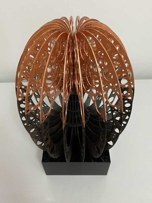 Torus nature flow by Helena