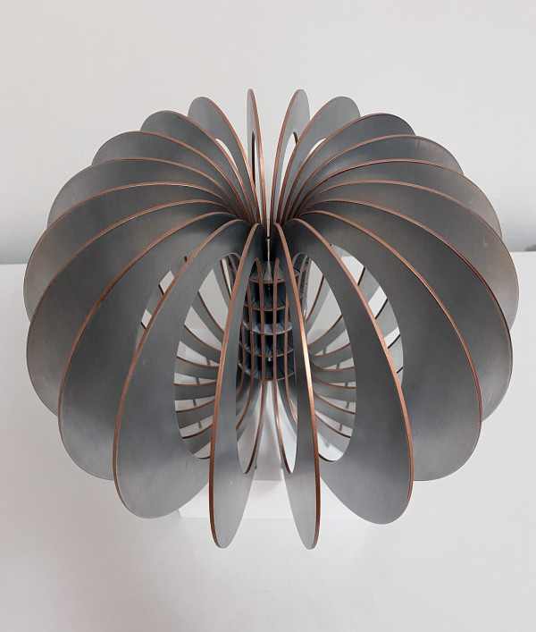 Torus2
