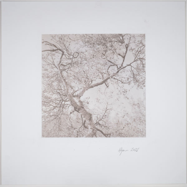 Hreðavatn No.1 1/12 by Hlynur Helgason