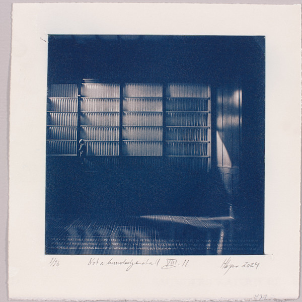 Not a knowledge at all VIII.11 – generated cyanotype photograph 1/6 by Hlynur Helgason