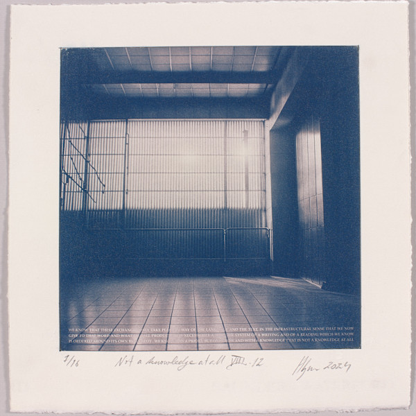 Not a knowledge at all VIII.12 – generated cyanotype photograph 1/6 by Hlynur Helgason
