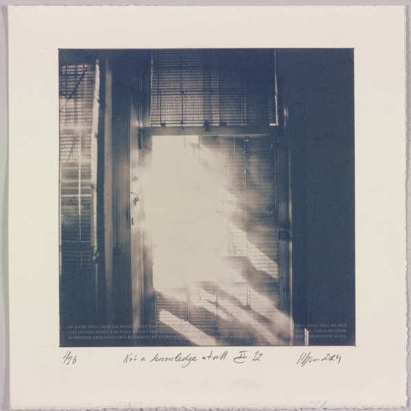 Not a knowledge at all II.12 – generated cyanotype photograph 1/6 by Hlynur Helgason