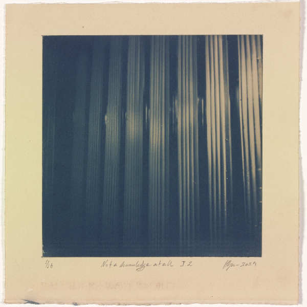 Not a knowledge at all I.2 – generated cyanotype photograph 1/6 by Hlynur Helgason
