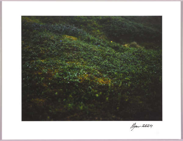 Lush heathlands — Oddskarð, Iceland N°14 1/24 by Hlynur Helgason