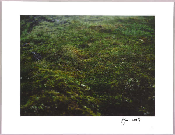 Lush heathlands — Oddskarð, Iceland N°3 1/24 by Hlynur Helgason
