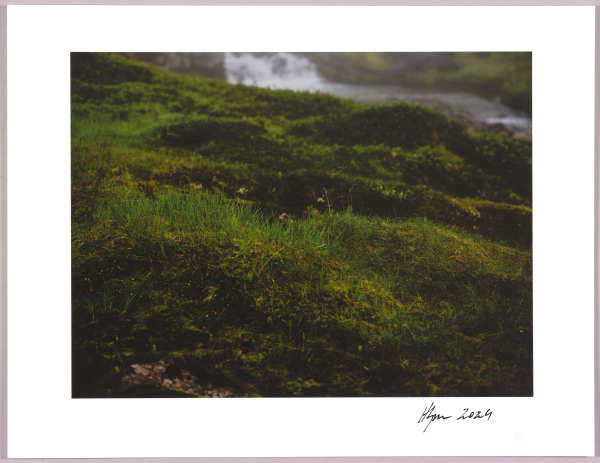 Lush heathlands — Oddskarð, Iceland N°6 1/24 by Hlynur Helgason