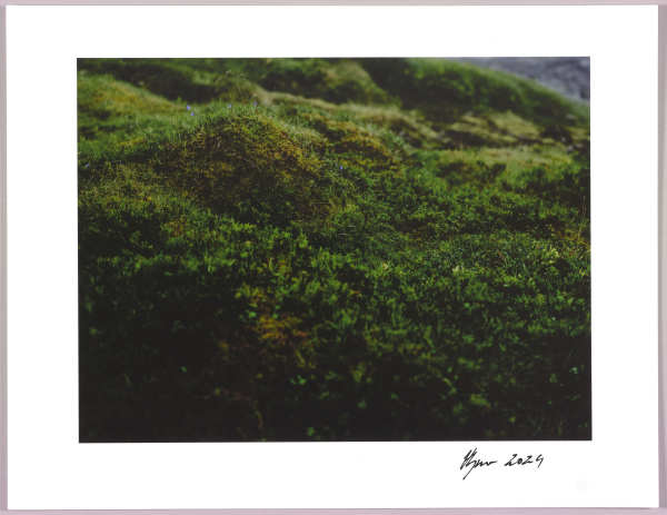 Lush heathlands — Oddskarð, Iceland N°9 1/24 by Hlynur Helgason