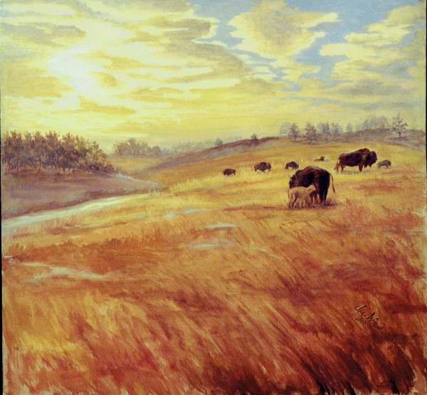 Buffalo at Sundown