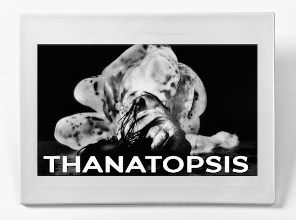 THANATOPSIS (Death) by Marne A Lucas