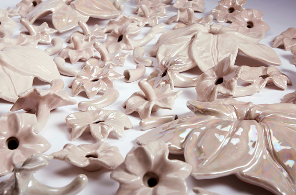 Transfleurs by Marne A Lucas