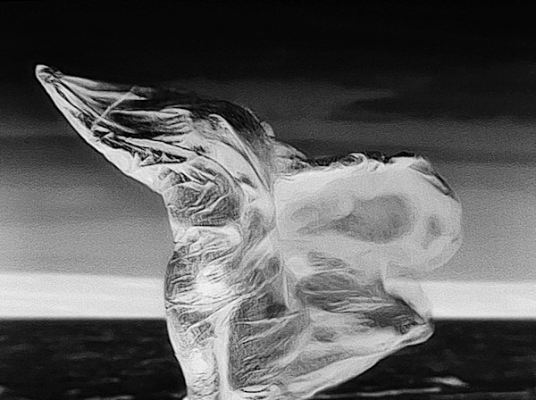 Felt Presence by Marne A Lucas