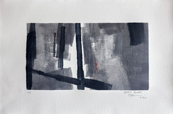 Good Bones by Caryn Vainio, Image 1.