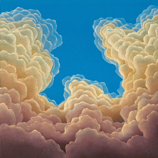 Bright Patch by Laura Guese, Image 1.