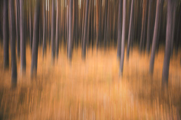 Colors of Autumn by Rolf Florschuetz