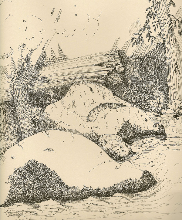 Chilnualna Creek by Thomas Sundberg